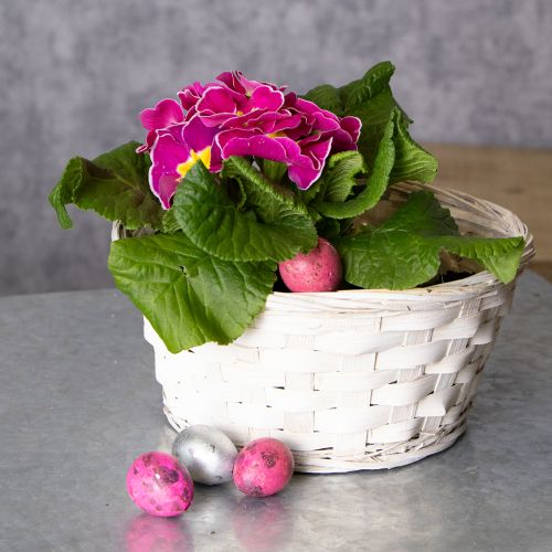 tételeket Fonott kosár dekoráció sokoldalú lakberendezéshez, 20 cm, 8 darab