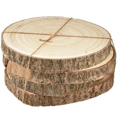 Floristik24 Fa korong Paulownia fa dekoráció natúr Ø17-21cm 4 db