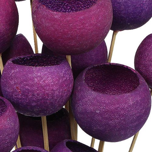 Floristik24 Bell Cup Mix pálcikán Erika 15 db