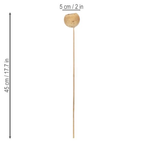 tételeket Bell Cup Mix száron, természetes egzotikus fajták, 15 darab