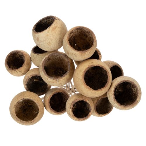 tételeket Bell Cup Mix száron, természetes egzotikus fajták, 15 darab