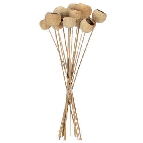 tételeket Bell Cup Mix száron, természetes egzotikus fajták, 15 darab