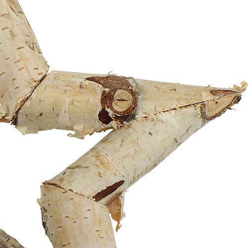 Floristik24 Akasztható nyírfa csillag 22cm