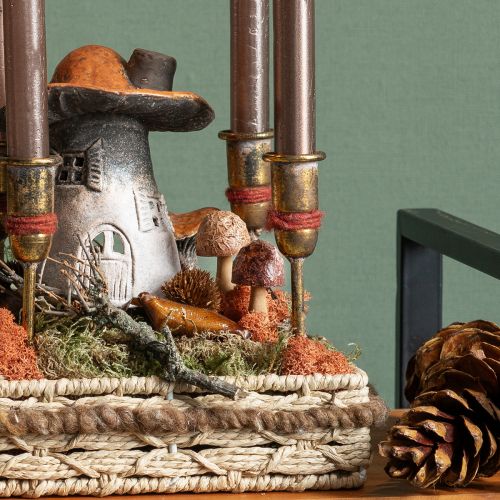 Floristik24 Virágdugó gomba díszdugó fabarna Ø2,5cm 8 db