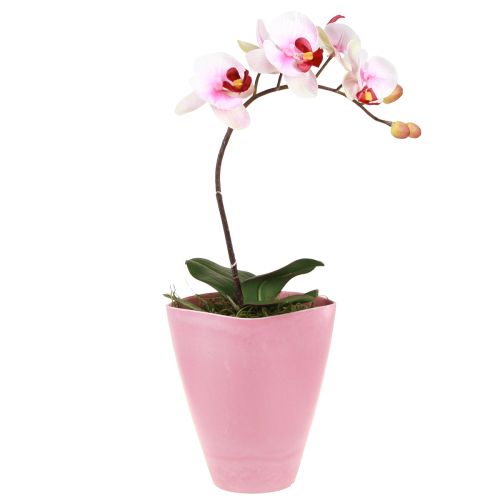 tételeket Virágcserép műanyag váza orchidea cserép rózsaszín H16,5cm 4db