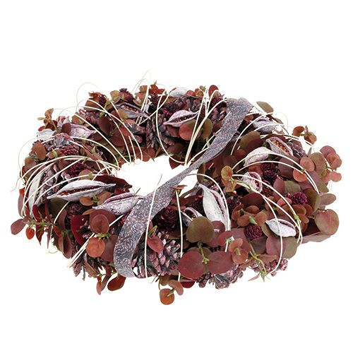 tételeket Brachyciton szeder cukormázzal bevont 500g