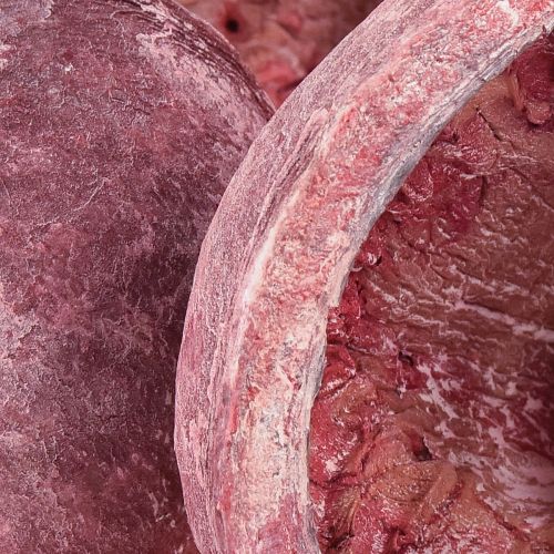 Floristik24 Buddha dió piros fehér szárított természetes dekoráció Ø5,5-9,5cm 5 db