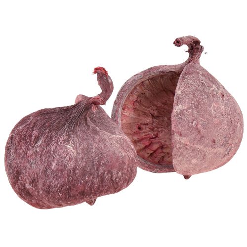 Floristik24 Buddha dió piros fehér szárított természetes dekoráció Ø5,5-9,5cm 5 db