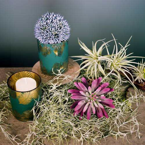 Floristik24 Lámpás üveg páfrányzöld Ø10cm H12,5cm