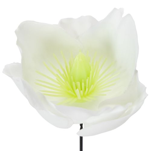 tételeket Karácsonyi rózsa dróton, fehér, 50 darab