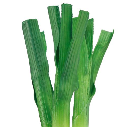tételeket Díszzöldség újhagyma zöld fehér Ø1cm L28cm 3 db