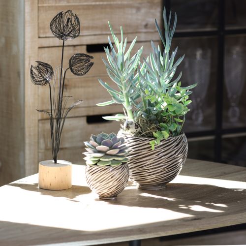 tételeket Dekoratív tál virágcserép Kerámia Bézs Barna Ø15cm 2db