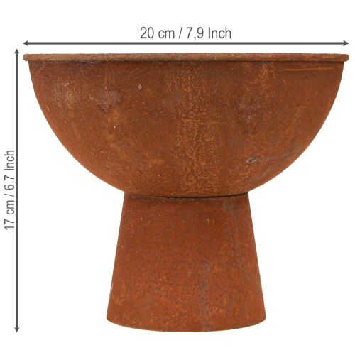 tételeket Dekoratív tál lábbal, kehelytál, rozsdaszínű fém, Ø20,5cm, 2 darab