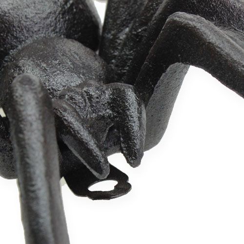 Floristik24 Pók sötétbarna 13,5 cm