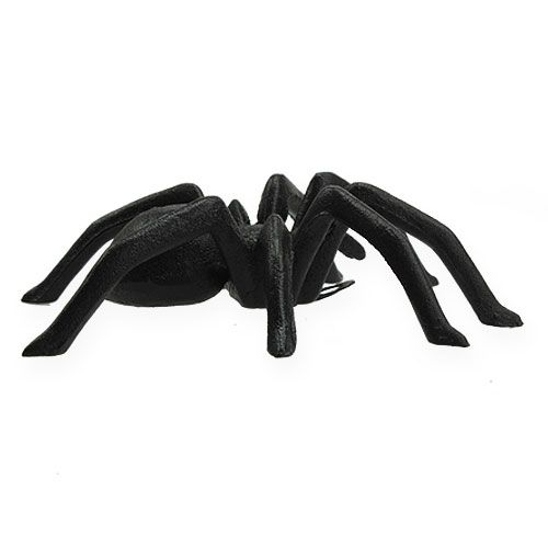 Floristik24 Pók sötétbarna 13,5 cm