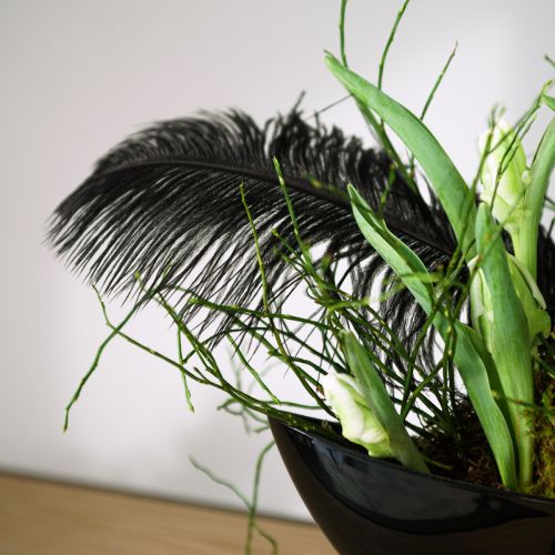 tételeket Dekoratív strucctoll fekete toll 38-40cm 2 db