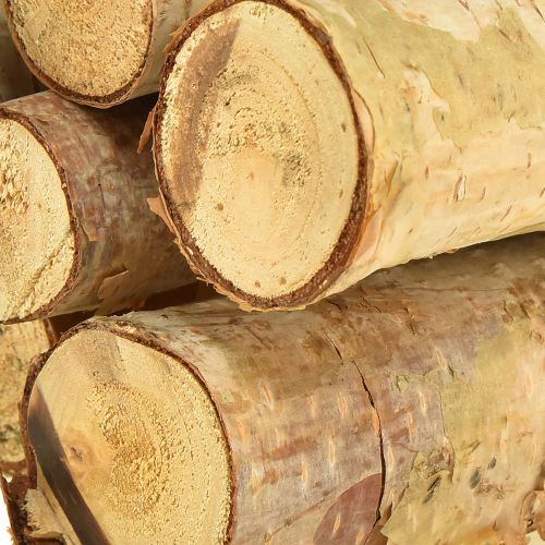 Floristik24 Dekoratív nyírfa ágak natúr 30cm 6 db