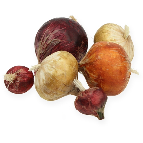 Floristik24 Hagyma nagy és kicsi mesterséges 14db.