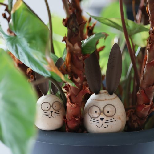 tételeket Dekoratív nyúl humoros mintával, barátságos, figyelemfelkeltő, 19 cm, 2 darab