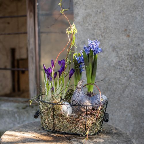 Floristik24 Drótkosár ovális fogantyúval 27x16,5cm H13,5cm barna