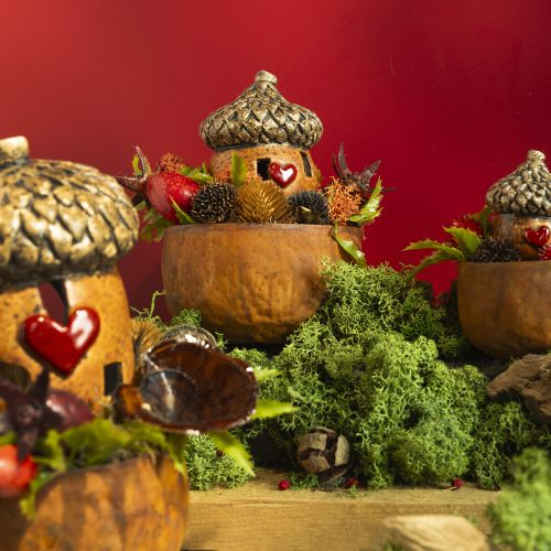 Floristik24 Makk ablak és szív díszítéssel 9,8 cm - hangulatos őszi-téli dekoráció - 4 db