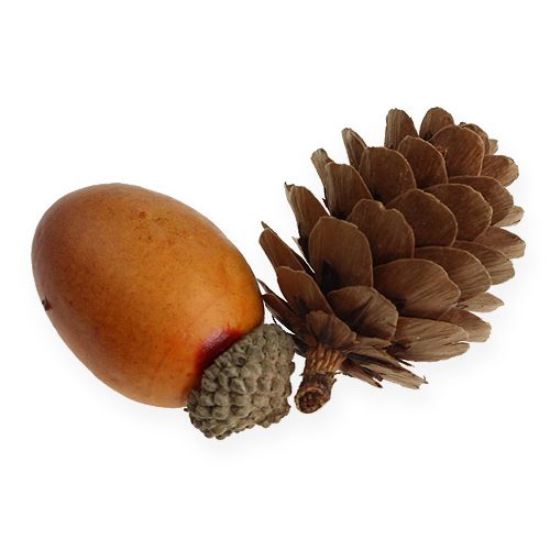 Floristik24 Makk, toboz keverve hálóban 60db