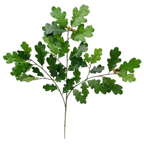 Floristik24 Tölgy ág zöld 68cm