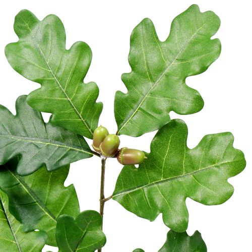 Floristik24 Tölgy ág zöld 68cm