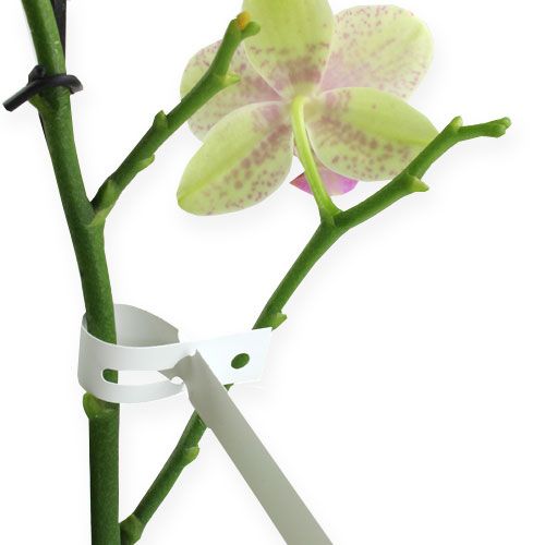 tételeket Hurkos címke 13mm x 220mm 1000 db