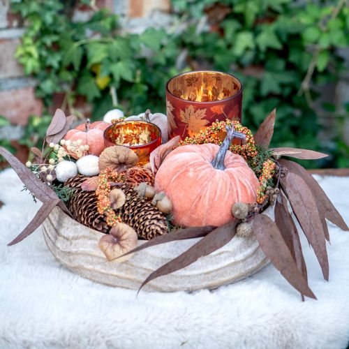 tételeket Eukaliptusz tartósított eukaliptusz ágak piros, barna 56cm 135g