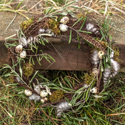 Floristik24 Fácántollas Dekoráció Valódi Toll Természetes 40cm 9 db