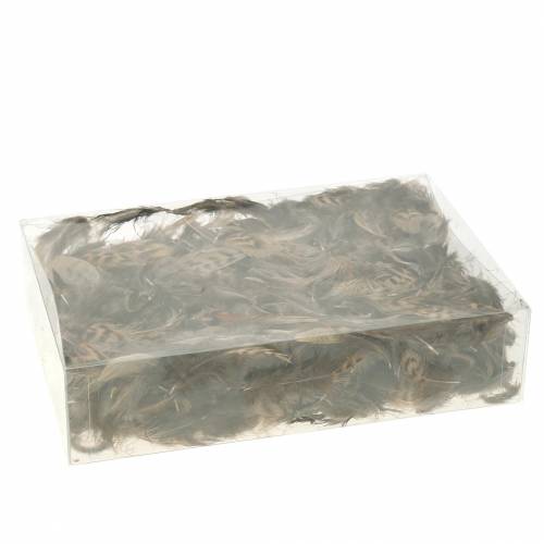 Floristik24 Toll természetes 4,5 - 9cm 20g