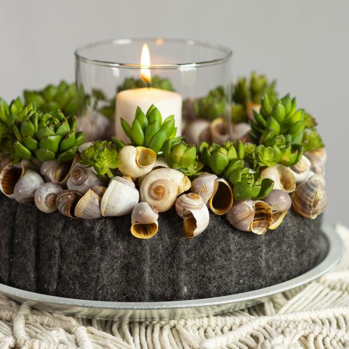 Floristik24 Filc szalag sötétszürke 15cm 5m