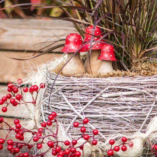 Floristik24 Légyölő galóca díszgombák fa gombák őszi dekoráció M6/8/10cm 3 db-os kiszerelés