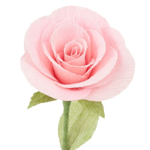 tételeket Virágkötő krepp papír, fűzöld, virágkötő krepp 50×250cm 5db