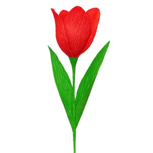 tételeket Virágkötő krepp papír virágkötő krepp piros 50×250cm 5 darab