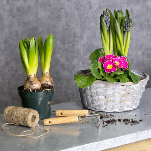 tételeket Szőtt kosár, mint stílusos virágdekoráció a nappaliba. Húsvéti kosár, 23 cm, 6 darabos.