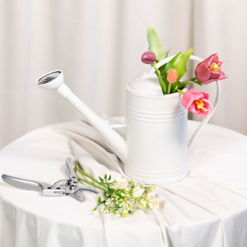 tételeket Locsolókanna levehető rózsafejjel. Ideális szobanövényekhez és erkélyekhez. 32 cm