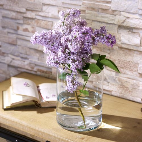 Üvegváza átlátszó hengeres Ø12cm H20cm