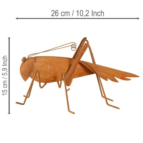 tételeket Szöcske kerti dekoráció, rozsdabarna fém, szabadon álló dekoráció, 26cm