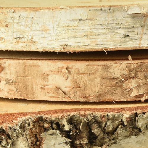 Floristik24 Fatárcsák nyírfa kéregfa korongokkal Ø20-22cm 3 db