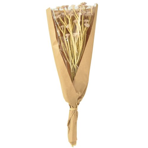 tételeket Olasz szalmavirág művirág rózsaszín L28cm