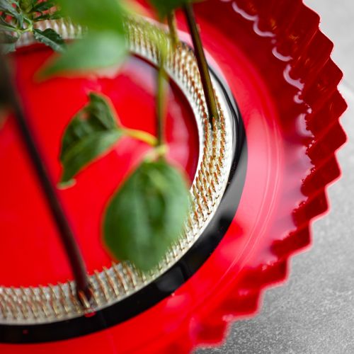 tételeket Kreatív virágkötészeti segédeszköz sárgaréz tűkkel ikebanához és virágkötészethez