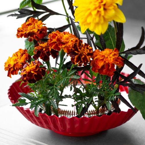 tételeket Kreatív virágkötészeti segédeszköz sárgaréz tűkkel ikebanához és virágkötészethez