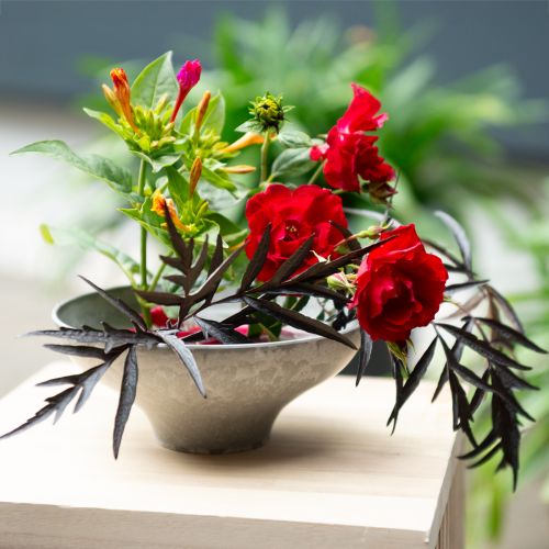 tételeket Kerek sárgaréz virágsün virágdíszekhez és ikebanához