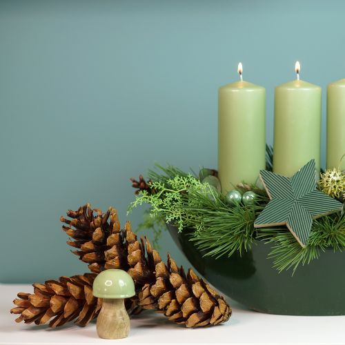 Fenyőtoboz Fehér fenyő Strobus Natural Vegyes 2,5kg