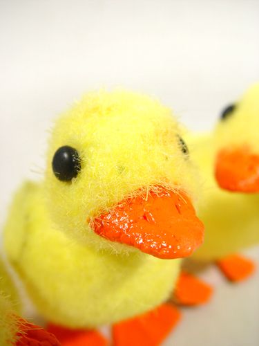 Floristik24 Csaj dróttalppal 8cm 12db. sárga/narancs