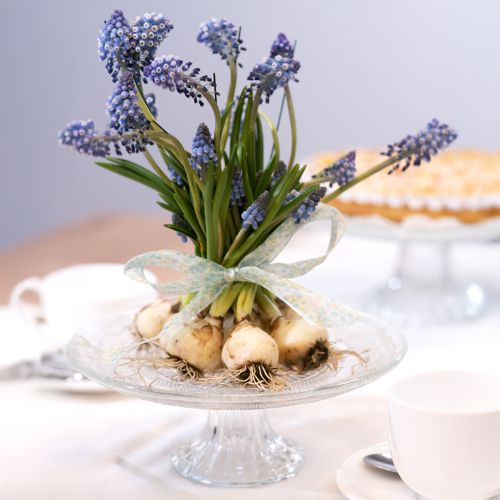 Floristik24 Klasszikus üveg tortalap lábon - Elegáns minden ünnepséghez Ø 20cm