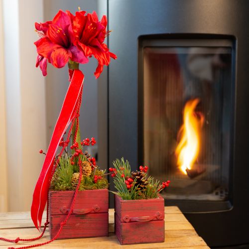 Floristik24 Mesterséges Amaryllis Művirágok Piros Ø18cm L68cm 2db