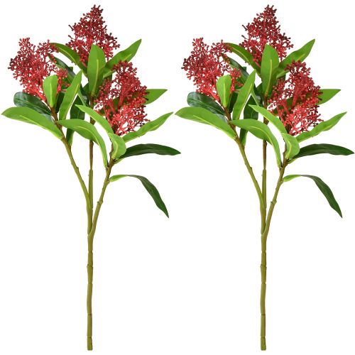 tételeket Művirágok Red Skimmia japonica Skimmie 45cm 2db